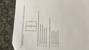 The diagram shows a phloem sieve tube element and a companion c... | Filo