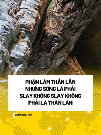 Chị đẹp hong mấy cưng #fantasticnews #fantasticnetwork #fyp #xuhuong #hot #viral #news