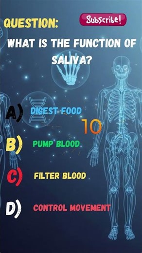 What Is the Function of Saliva? 💧 | Human Anatomy Quiz #like #subscribe