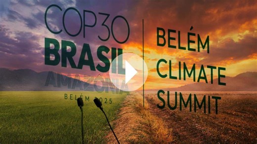 Klimakrise erreicht Kipppunkt - Amazonas-Video zeigt 2,8 Grad