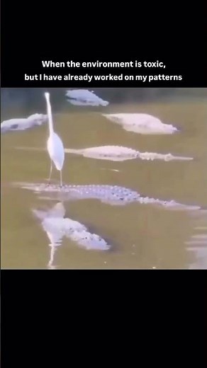 When the Environment Is Toxic, But You’ve Worked on Yourself