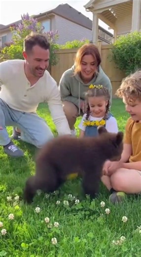 Bear Cub Crashes Family Backyard! 🐻💛