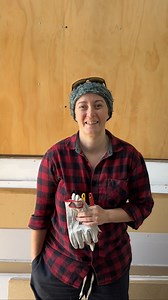 Meet Jess 🔧 Jess has only recently joined Women On The Tools, but she’s already making the most of the workshop. She’s been using the space to upgrade her car for camping and off-roading, getting hands-on and learning as she goes. She’s loved being a member and jumping into different courses to build new skill sets, ask questions, and grow her confidence with tools along the way. Watching members like Jess take on projects they might not have tackled before is exactly what this space is all abo