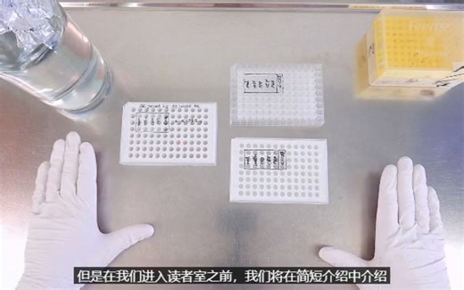 ELISPOT技术实验步骤（中英文双语）