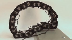 Ourobot: What Happens When A Snake Bot Swallows Its Own Tail