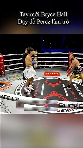 Pro Boxer SLAPPED a YouTuber, gets KO'd in the most embarrassing loss of his life!