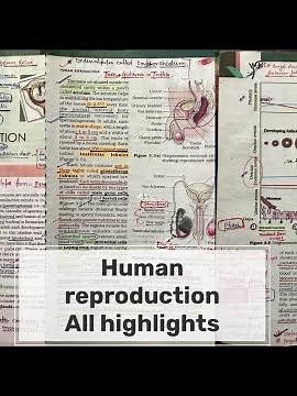 Human Reproduction NCERT Highlights ( for NEET ) ‪@conceptofneet‬ class 12th biology #neet #neet2024