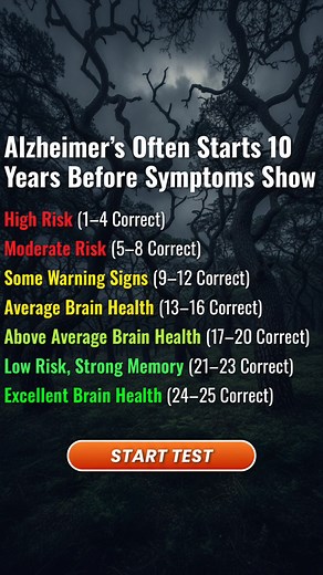 Distractions, forgetfulness, brain fog? It’s not just you. This quick assessment reveals how your brain works under pressure and gives you strategies to sharpen your focus. Take the Test Now! | Yourselfirst: Mental Balance