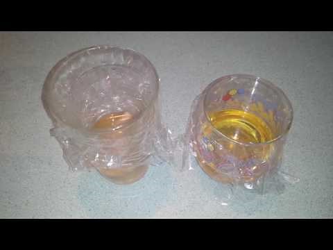 The EASIEST & BEST GNAT TRAP