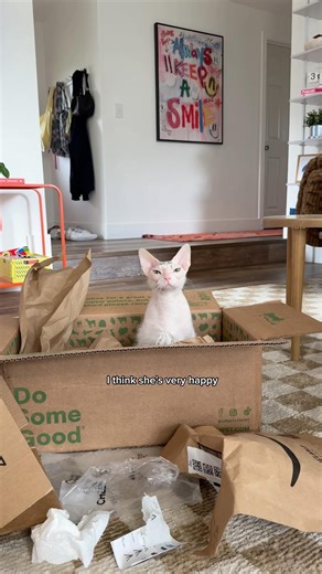 Leela the Trash Goblin🗑️🧌 #pets #cats #cattoys #shorts