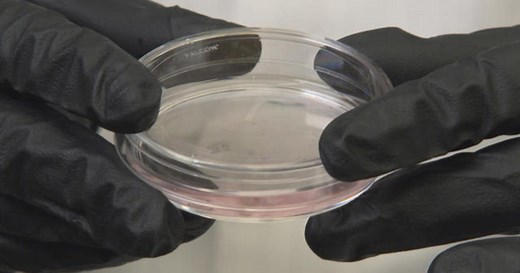 The complicated ethics of genetic engineering