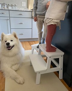 Watch kids step stool for kitchen on Amazon Live