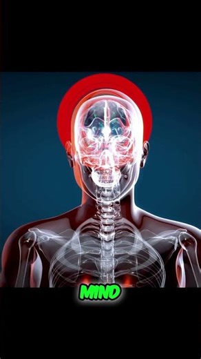 Pilot's Mind Zero Error Blueprint for Elite Professionals