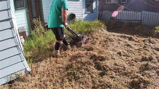 Yard Cleanup for the Ages Returns in an Even Bigger Part Two