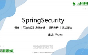 SpringSecurity专题(从入门到源码分析 项目实战)