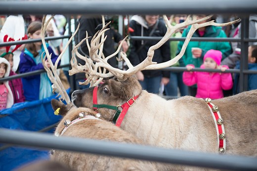 Vancouver WA Christmas & Winter Events 2025 | Lights, Markets & More