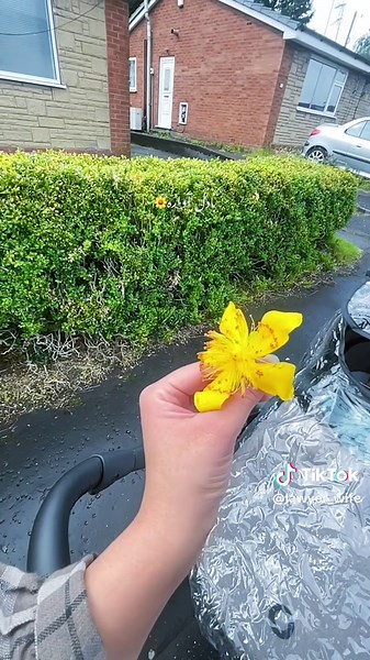 Life with a Lawyer's Wife: Navigating Relationships