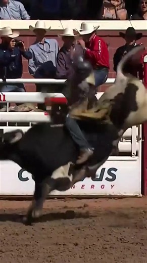 Noah Lee continues to dominate! He goes for 90.5 points and wins the opening round of Bracket 2 in Calgary. Lee's last four qualified rides have gone for 89 points or more, all of which resulted in a win! He is up to No. 2 in the PRCA World Standings and is chasing down Tristen Hutchings, who placed second in the round with an 87.5-point ride.