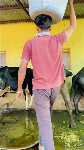 Dairy Farmer Life 🔥😎💸| PLEASE SUBSCRIBE ME 💯✅| #dairyfarm #shorts #viralshorts #trending