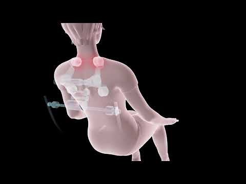 E8730 Best Massage 2D Zero Gravity Serenity Massage Chair