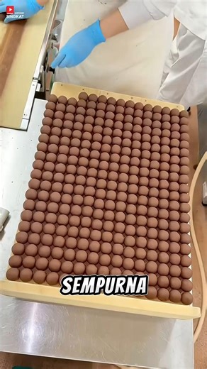 Seni Pembuatan Ubadama: Mahakarya Wagashi dari Kyoto Sejak 1803 #trending