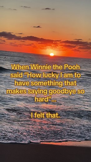 When Winnie the Pooh said “How lucky I am to have something that makes saying goodbye so hard”… I felt that. #fyp #foryoupage #winniethepooh #motivation #Love