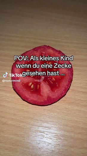Schwarzkümmelöl: dein Schutz gegen Zecken
