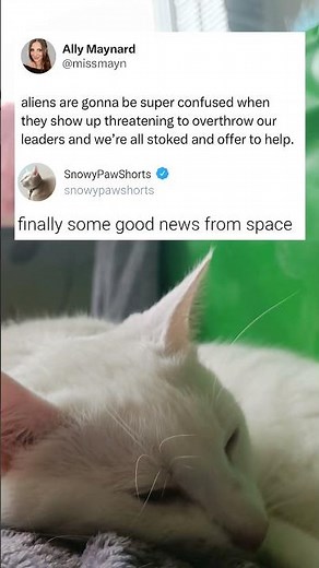 My application to the alien uprising just landed #snowypawshorts