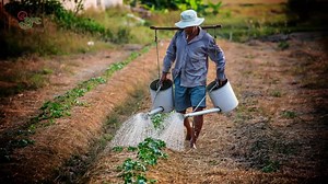 With our agriculture sector being left behind, the Filipino people must stand up and make agriculture a booming industry once again in the Philippines. A former OFW of 12yrs decided to contribute in giving back the glorious days of agriculture in the country. He decided to go home for good and built a farm now co-owned by OFWs around the globe with hundreds of farmers supporting his vision for the Filipino people. Here's the story of Dexter Villamin. | Dv Boer