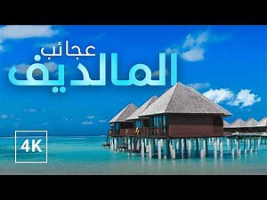 عجائب المالديف: جنة المحيط الهندي وسحر الثقافة المحلية