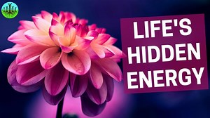 The world that we've created isn't working anymore and there is a reason for this. It's because we haven't learned how to work with life's hidden energy. #energy #consciousness #quantumphysics | Sustainable Human
