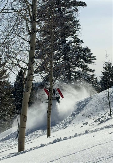 Enjoying the Thrills of Sledding and Snowmobiling