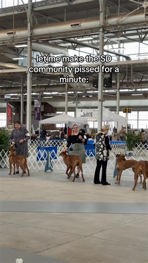 Kay and Kipper 🐕 on Instagram: "stay mad 🤷‍♀️ i hate all the made up rules people make #servicedog #controversial #wildcaughtkipper"