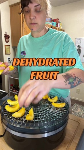 Delicious Dehydrated Fruit Recipes to Try