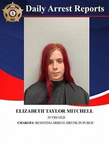 The Henry County Sheriff's Office Daily Arrest. | Henry County Sheriff's Office