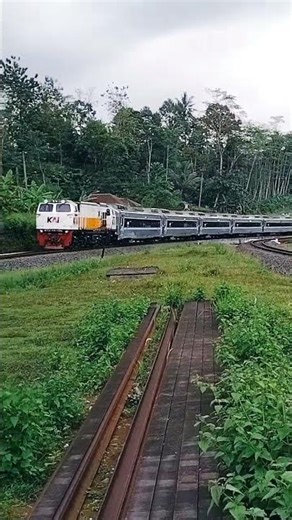 Fast-Moving Train Racing Along the Tracks”