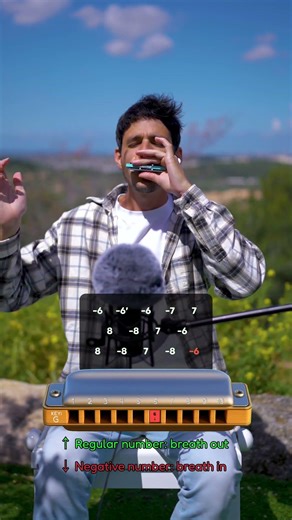 Bruce Springsteen - The River - Tutorial for the Epic Harmonica Lick