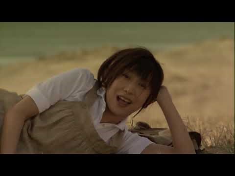 一青窈 / 影踏み