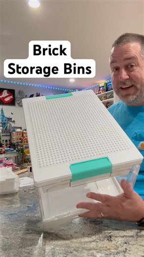 Brick Storage Bins