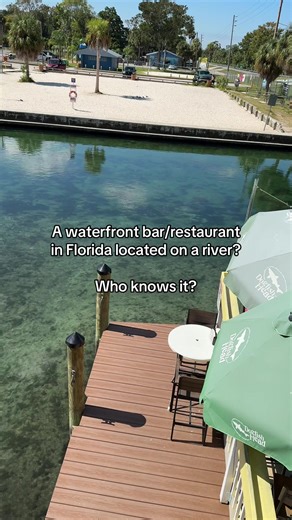 You can rent kayaks next door and paddle up river to a spring 🩵 #divebar #waterfront #floridalife #floridacheck #restaurantreview