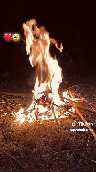 Uff Da Song - A Heartfelt Musical Journey