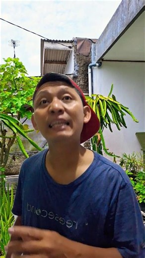 cow sacrifice #comedy #funny #comedy