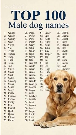 Top 100 Male Dog Names for Every Breed🐶 #petnames #dog #dognames
