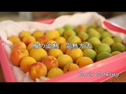 失敗しない梅の追熟・完熟方法【初心者必見】カビない方法・ポイント｜Coris cooking