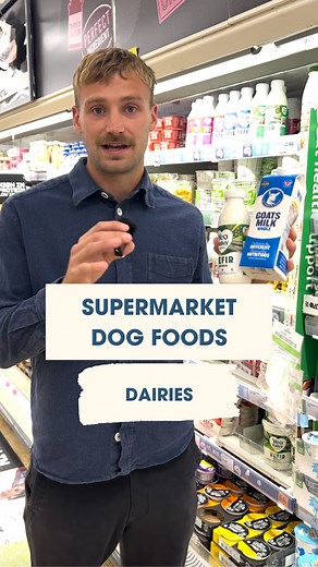 Goats milk and kefir are SUPER healthy for dogs. They act as a natural probiotic, balancing your dog's gut microbiome. Feed it to them a couple of times a week at least and trust me, you'll see a difference! #dogsofinstagram #dogstagram #dogrecipes #kefir #guthealthnutritionist | The Dog Nutritionist