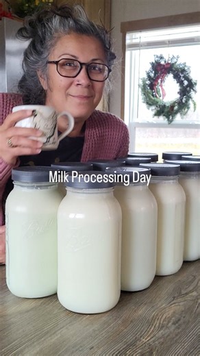 Here's what this round, plus a few more gallons, made for us for the week.: Butter - winter and a long lactation period robs it of its vibrant yellow color, but it's still incredible. And yes I salted it this time, which made Justin thankful. Yogurt - for ourselves and other things. We opt for a French style Yogurt, and its incredibly delicious. Mozzarella - bite size cheese balls marinated in olive oil and a dried Italian herb blend from our garden. Ricotta - not enough, but a small container. 