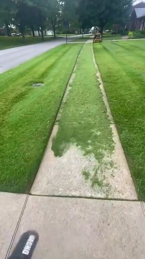 Life-Saving Facts You Didn't Know