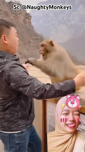 HUG ME, NYET ‼️😱😂 #shorts #funny #dubbing Sc: NaughtyMonkey