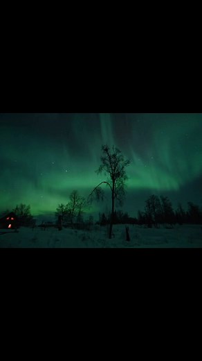 85 reactions | A beautiful display of northern lights last spring at Denali State Park | Wild On Alaska | Facebook