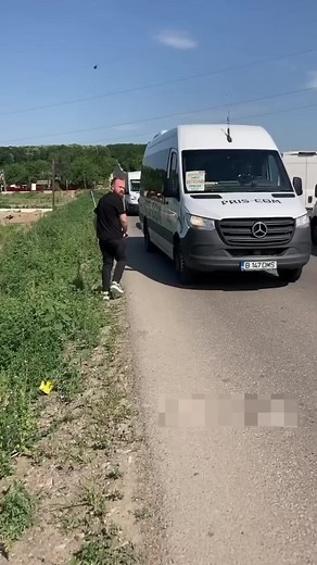 468K views · 9.1K reactions | She walk alone at busy road #dogreels #fyp #dog #reels #streetdog #dogrescue #homelesspuppy #rescue #puppy | Homeless Puppy | Facebook